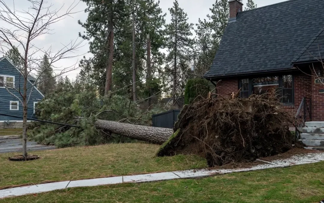 How Spring Storms Impact Western WA Electrical Systems
