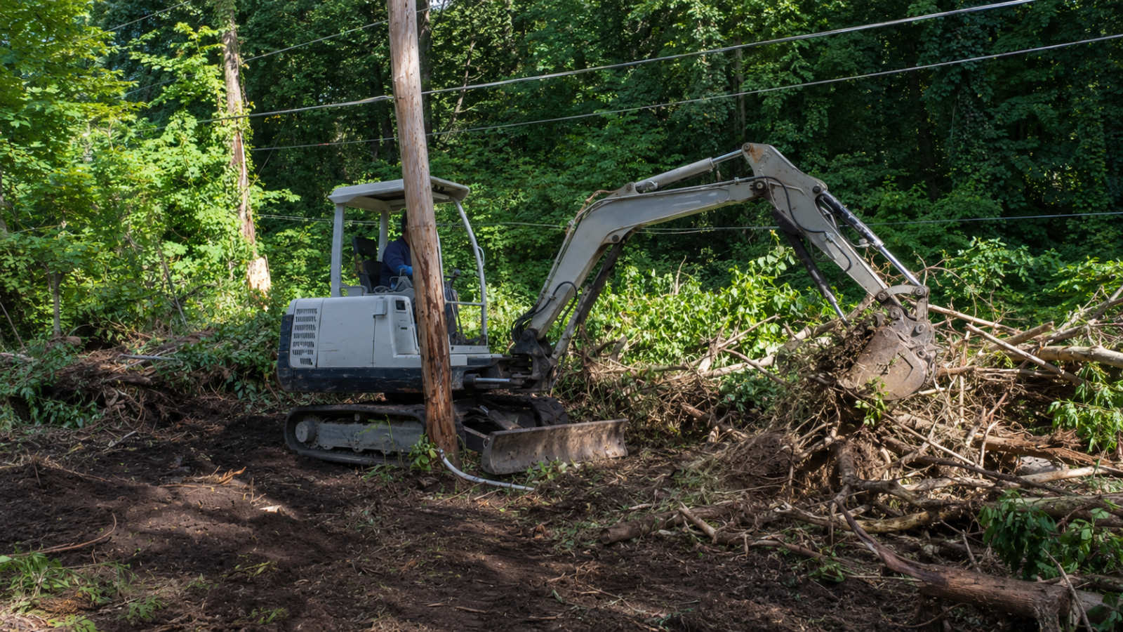 A mini excavator clearing heavy tree branches and brush around a utility pole to allow safe repair of storm damage to electrical equipment.