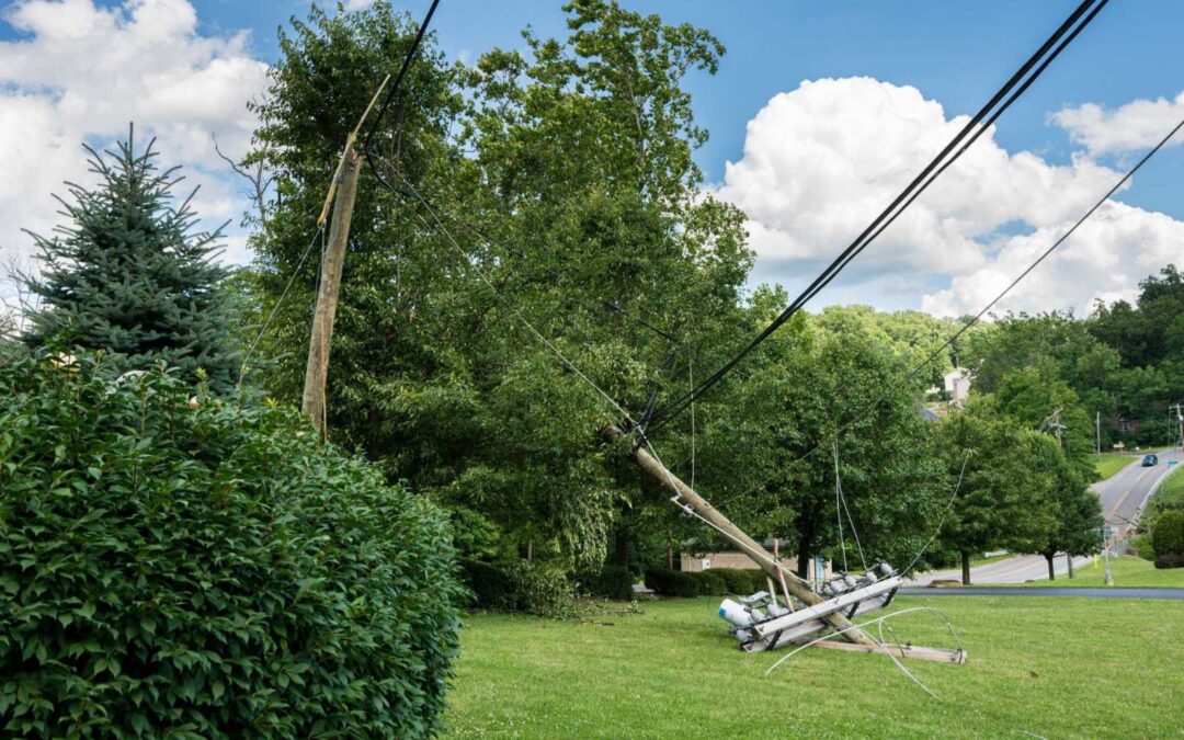 When a Fallen Tree Causes Storm Damage to Your Electrical System