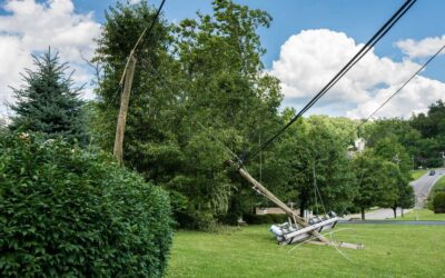 When a Fallen Tree Causes Storm Damage to Your Electrical System