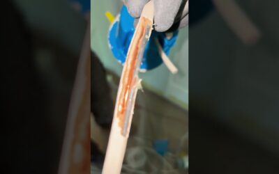 Rodent-Damaged Electrical Wiring